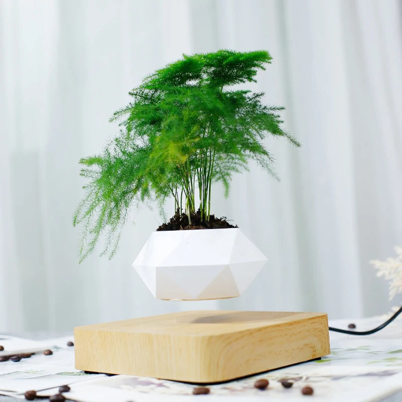 Magnetic Levitating Bonsai Planter – 360° Rotating Floating Desk Decor Pot