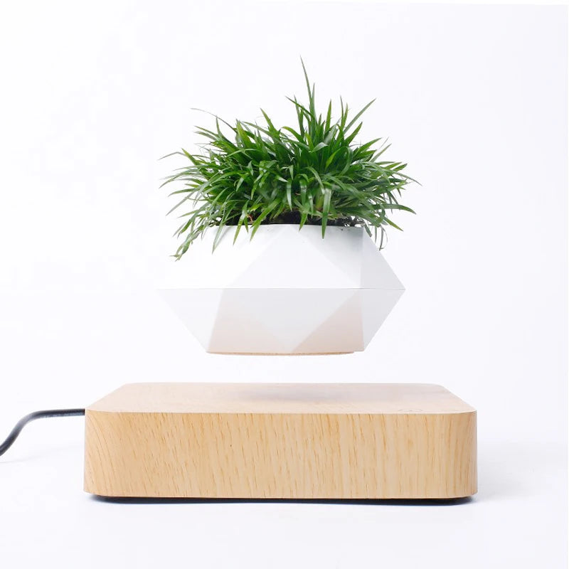 Magnetic Levitating Bonsai Planter – 360° Rotating Floating Desk Decor Pot