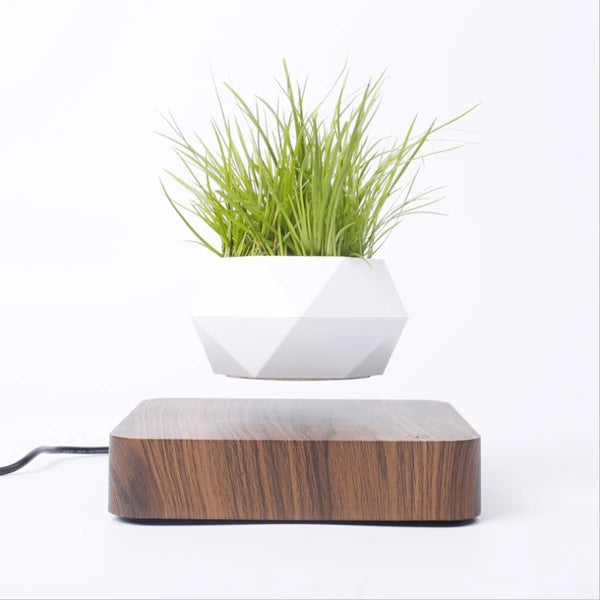 Magnetic Levitating Bonsai Planter – 360° Rotating Floating Desk Decor Pot